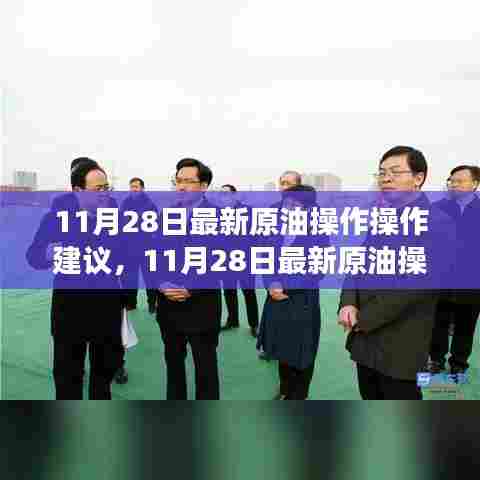 11月28日原油操作指南,把握市场趋势,实现精明投资