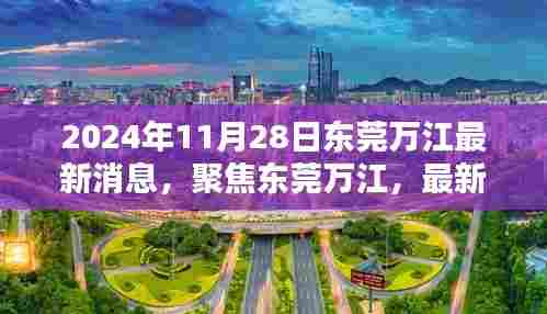 穷鸟入怀 第4页