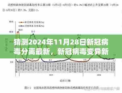 探寻新冠病毒变异新篇章，2024年预测与影响分析