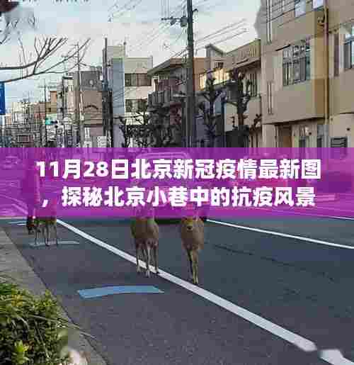 北京抗疫风景线,特色小店故事与最新疫情图探秘