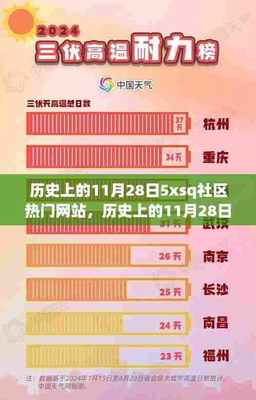 历史上的11月28日，5xsq社区网站热门事件与全面评测回顾