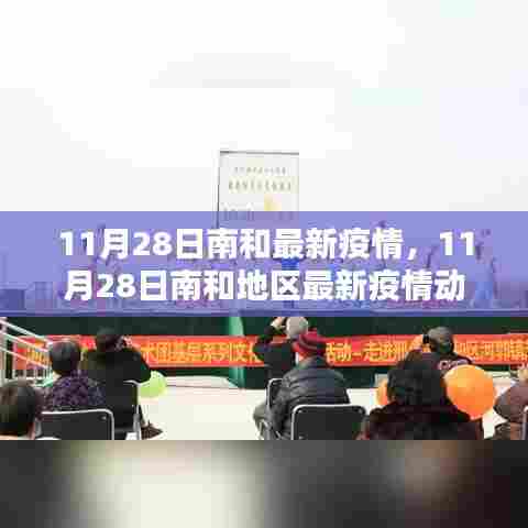 11月28日南和地区最新疫情动态与防控措施分析