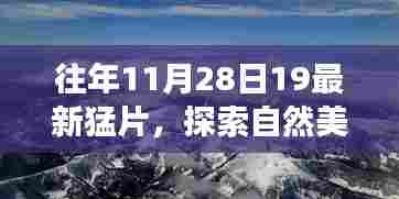 探索自然美景之旅，宁静的力量与幽默的旅程——最新猛片