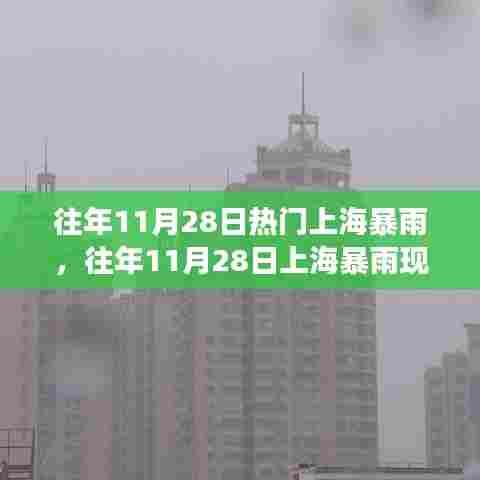 往年11月28日上海暴雨现象深度解析及影响探讨