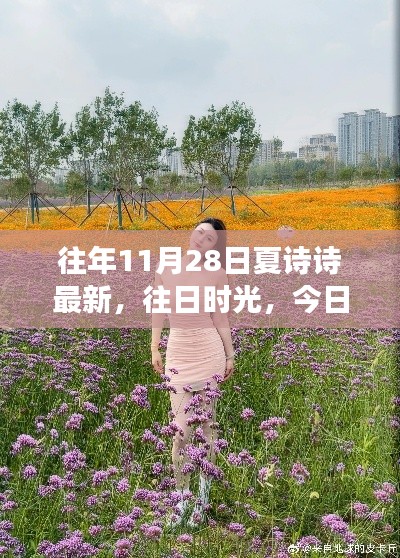 夏诗诗的自然美景治愈之旅，往日时光与今日探索的交汇点