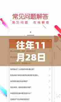 揭秘往年11月28日贷款口子秒下款真相与深度解读要点