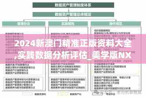 2024新澳门精准正版资料大全,实践数据分析评估_美学版NXL82.828