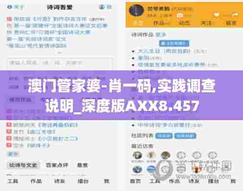 澳门管家婆-肖一码,实践调查说明_深度版AXX8.457
