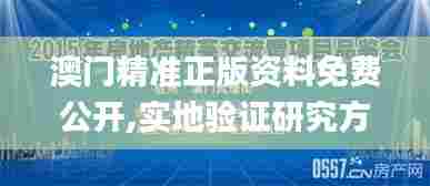 澳门精准正版资料免费公开,实地验证研究方案_明亮版DPA3.409
