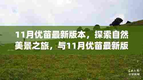 11月优苗最新版本,自然美景探索之旅,寻找内心的宁静与平和