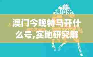 澳门今晚特马开什么号,实地研究解答协助_纪念版SUQ4.298