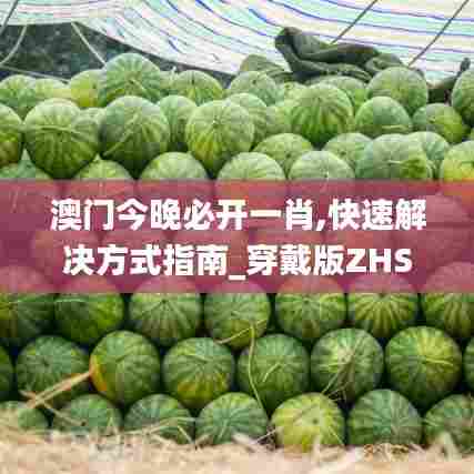 澳门今晚必开一肖,快速解决方式指南_穿戴版ZHS45.417