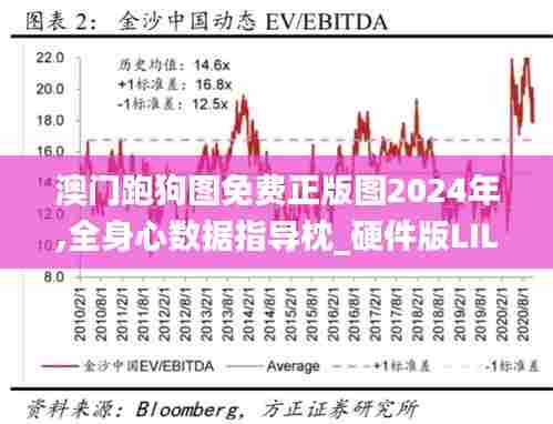 澳门跑狗图免费正版图2024年,全身心数据指导枕_硬件版LIL13.303