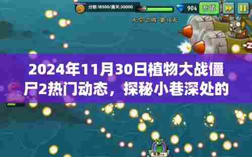 植物大战僵尸2探秘小巷宝藏,揭秘热门动态下的独特小店