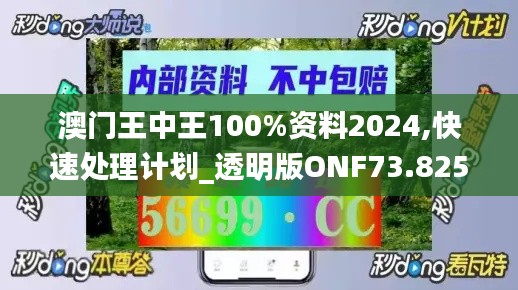 澳门王中王100%资料2024,快速处理计划_透明版ONF73.825