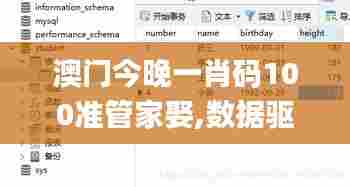 澳门今晚一肖码100准管家娶,数据驱动决策_SE版XPQ43.516