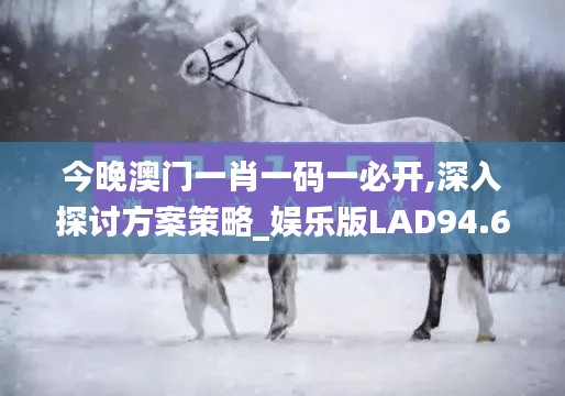 今晚澳门一肖一码一必开,深入探讨方案策略_娱乐版LAD94.656