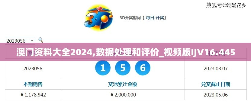 澳门资料大全2024,数据处理和评价_视频版IJV16.445