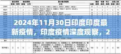印度疫情深度观察,最新数据与趋势分析(截至2024年11月30日)