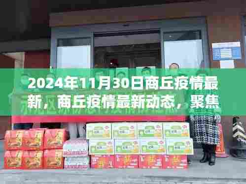 聚焦商丘疫情最新动态,2024年11月30日最新消息