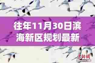 历年11月30日滨海新区的规划回顾与展望，最新动态与消息速递