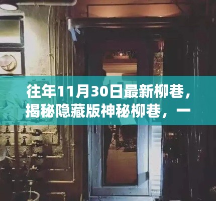 揭秘神秘柳巷特色小店的魅力与探索之旅