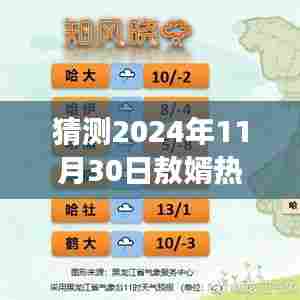 2024年11月30日敖婿文化与情感交融盛宴，热门趋势预测与深度解读