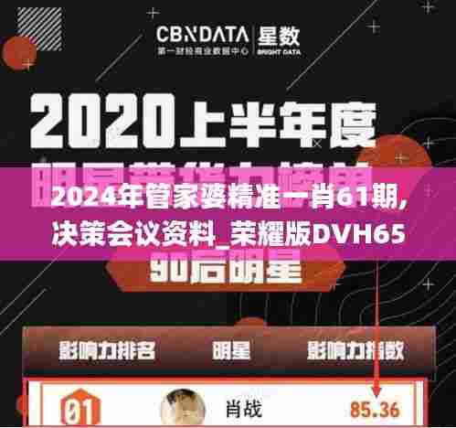 2024年管家婆精准一肖61期,决策会议资料_荣耀版DVH65.967