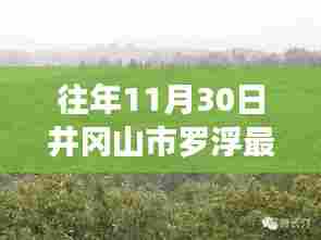 井冈山市罗浮镇，学习变化的力量，自信与成就感的源泉——最新要闻回顾往年11月30日罗浮动态