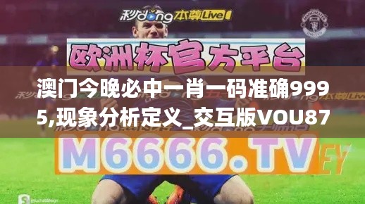 澳门今晚必中一肖一码准确9995,现象分析定义_交互版VOU87.613