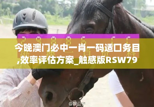 今晚澳门必中一肖一码适囗务目,效率评估方案_触感版RSW79.701