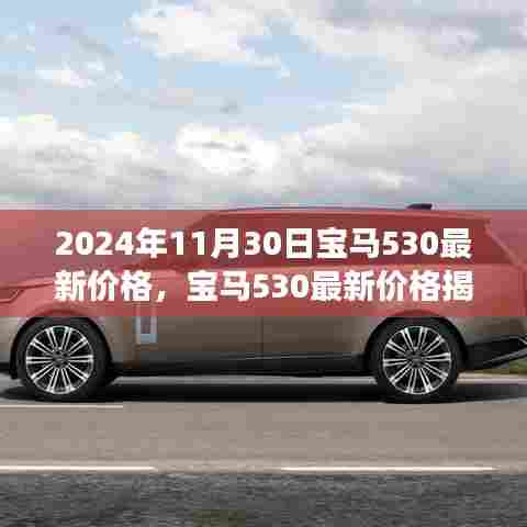 宝马530最新价格揭秘，心灵与自然美景的邂逅之旅