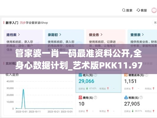 管家婆一肖一码最准资料公开,全身心数据计划_艺术版PKK11.971