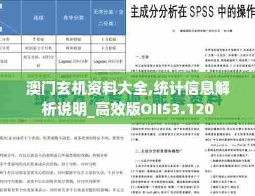 澳门玄机资料大全,统计信息解析说明_高效版OII53.120