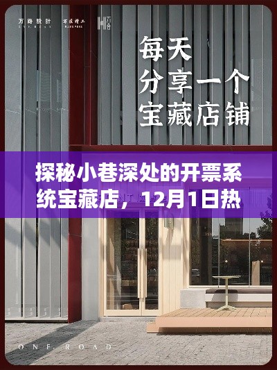 探秘宝藏开票系统店,小巷深处的宝藏,热门之选12月1日探访