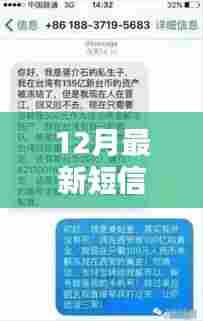 笑点背后的深意，探究12月最新短信笑话