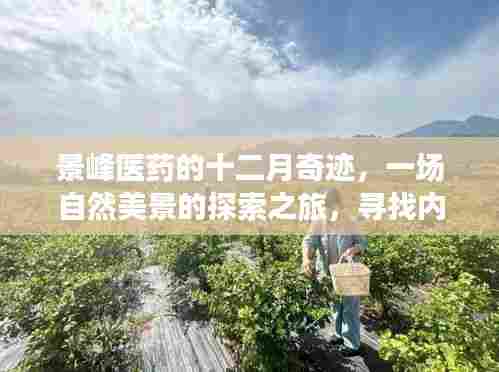 景峰医药的十二月奇迹，一场自然美景的探索之旅，寻找内心的平和与宁静