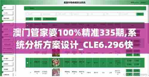 澳门管家婆100%精准335期,系统分析方案设计_CLE6.296快速版
