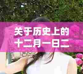 十二月一日二宫奈奈热门番号封面深度探讨，中立视角审视历史