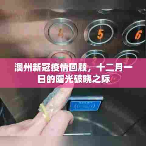 澳州新冠疫情回顾,曙光破晓的十二月一日