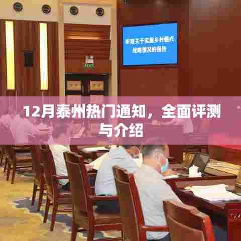 12月泰州热门通知详解,全面评测与介绍