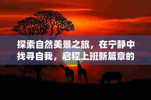 自然探索之旅,宁静中找寻自我,开启上班新篇章的魔幻旅程