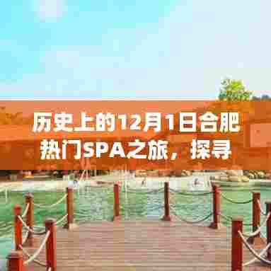 合肥SPA之旅,探寻古城养生秘境,历史上的十二月一日之旅🌿