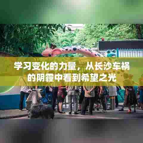 长沙车祸启示录，学习变化的力量，寻找希望之光