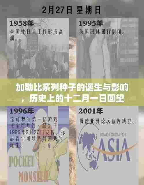 加勒比系列种子诞生与影响的回望,历史上的十二月一日探究