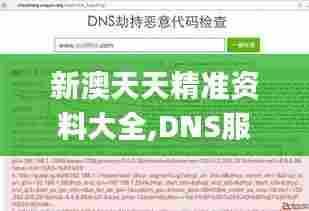 新澳天天精准资料大全,DNS服务_PMM20.719编辑版