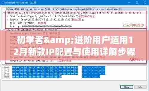 初学者与进阶用户指南，12月新款IP配置详解与使用步骤指南