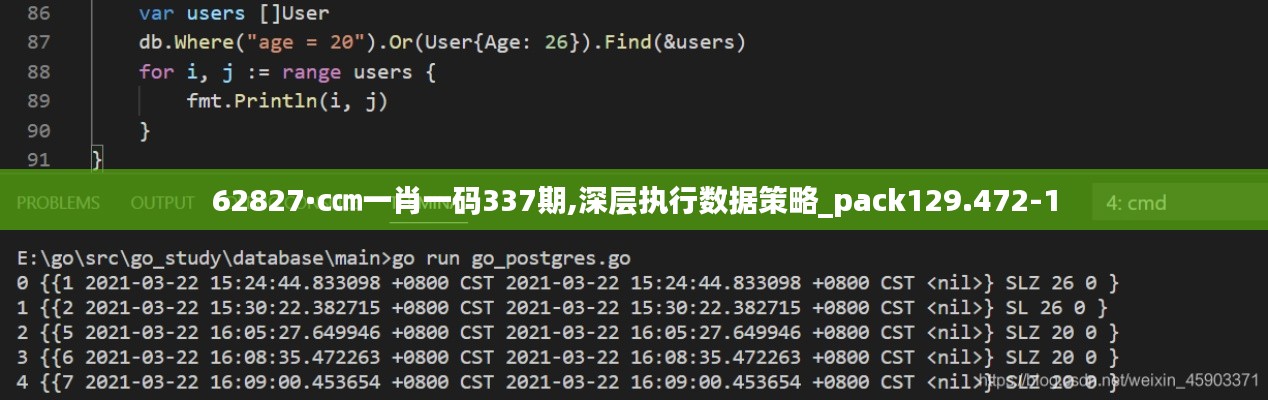 62827·c㎝一肖一码337期,深层执行数据策略_pack129.472-1