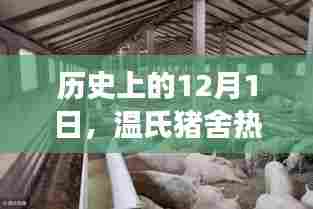 温氏猪舍建设图纸演变之旅,历史视角下的12月1日回顾