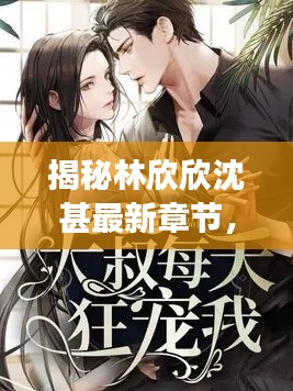 揭秘林欣欣沈甚,情感与成长之旅的最新章节(2024年12月1日)